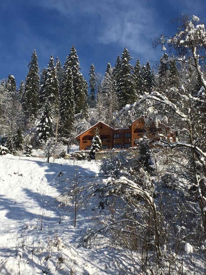 Privatna Sadiba Chalet Orjavčyk Exteriér fotografie