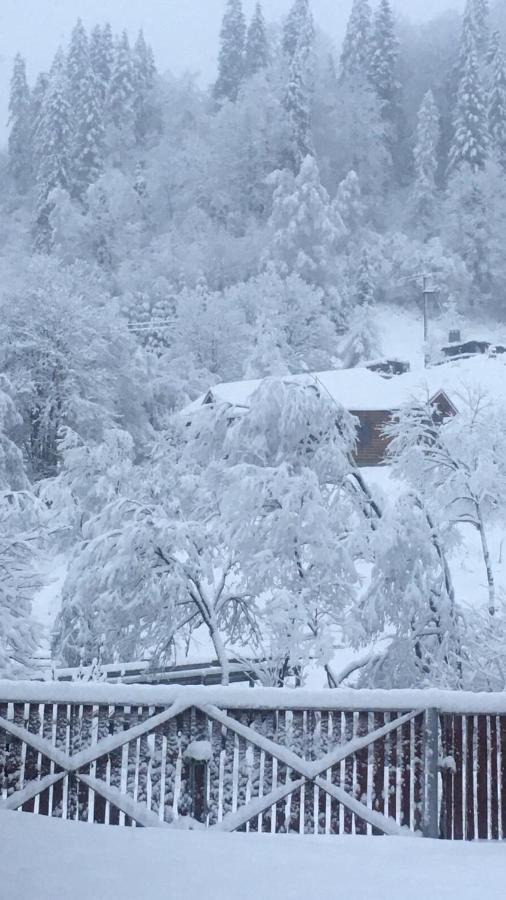 Privatna Sadiba Chalet Orjavčyk Exteriér fotografie